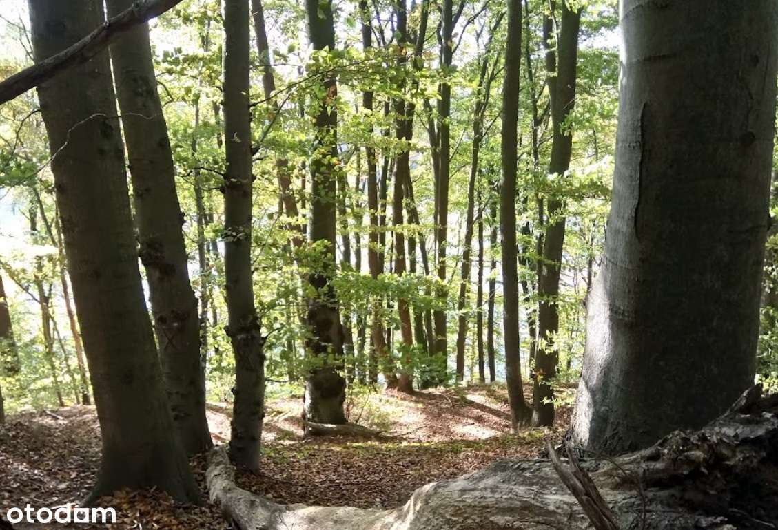 Działki budowlane z warunkami zabudowy dom jednorodzinny / bliźniaki-19