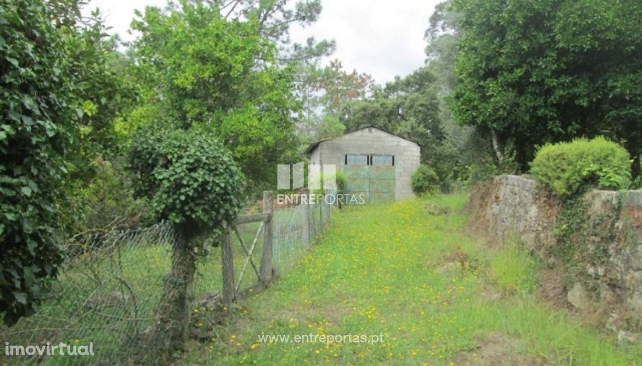 Venda de Terreno, Vitorino de Piães, Ponte de Lima