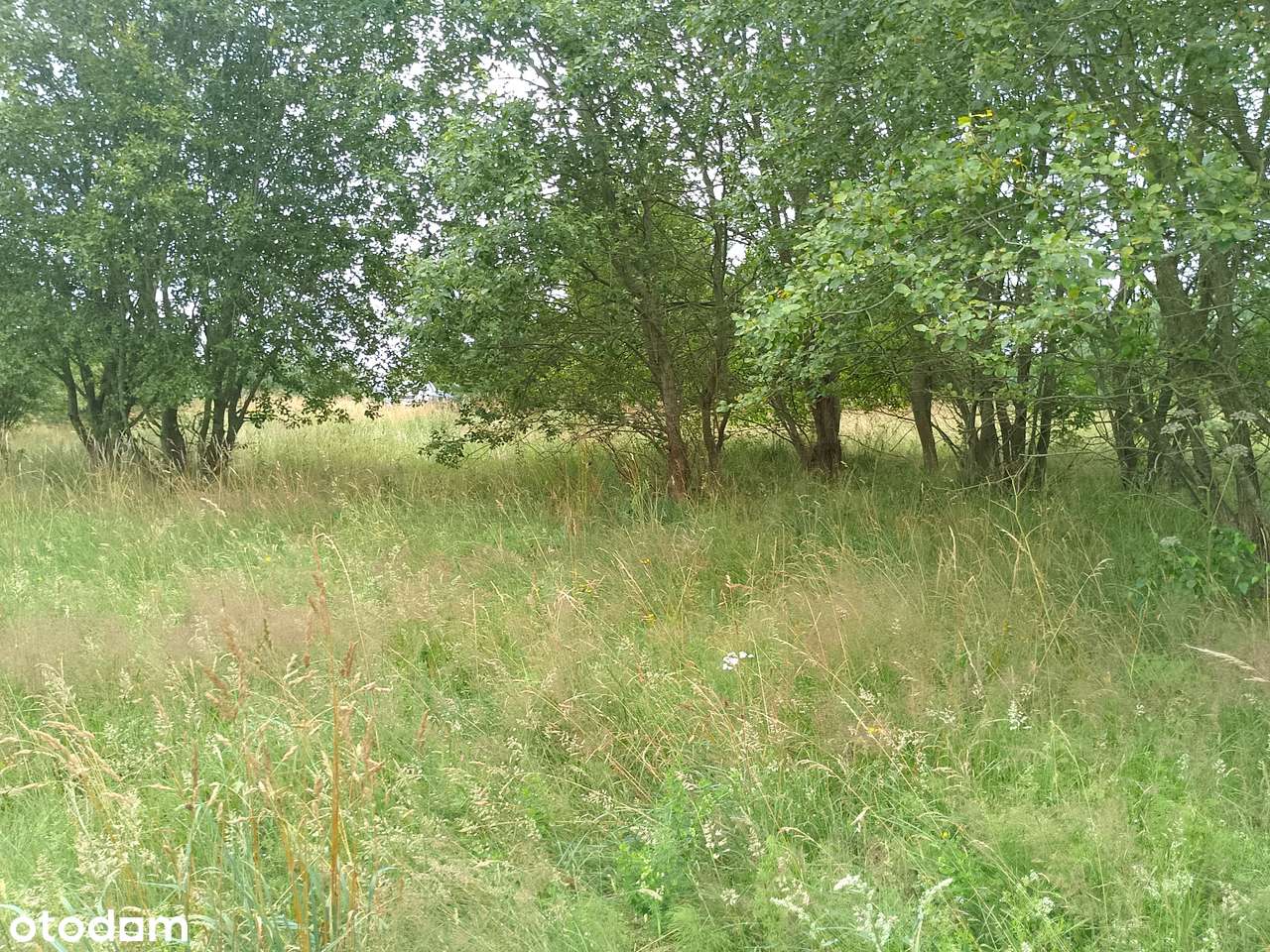 Działka, 1 500 m², Nowa Wieś Przywidzka-5