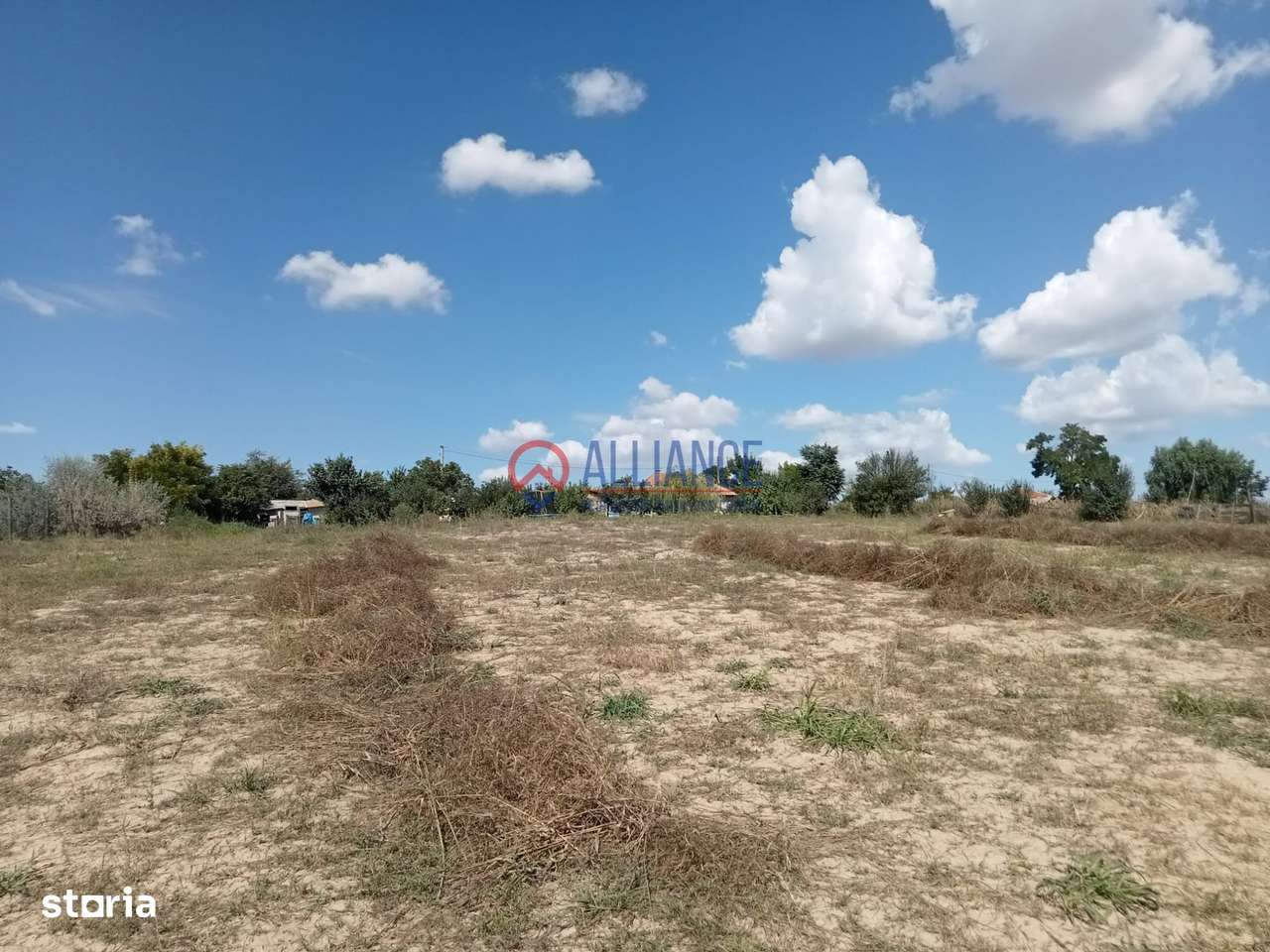 Teren intravilan 4.000 mp - Gradina, jud. Constanta-8