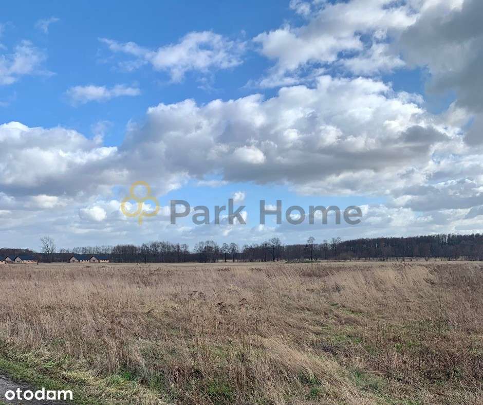 Działka budowlana w Lubieszowie - Pełny obrazek: 4/4