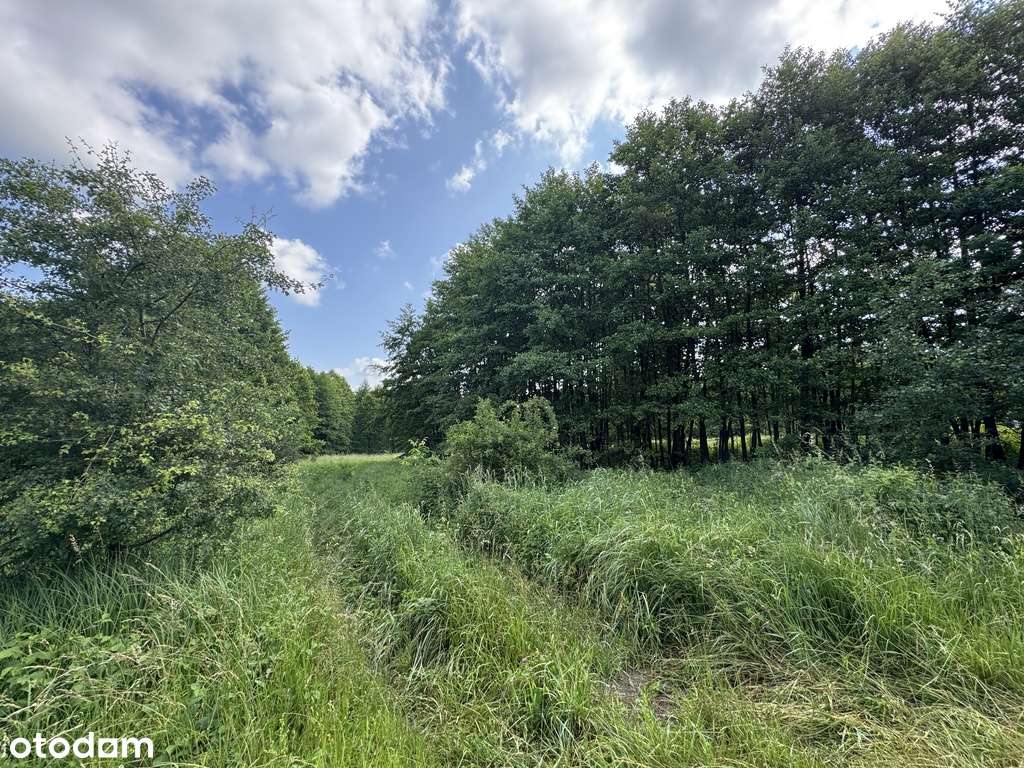 Przy bocznej ulicy, media na działce, zadrzewienia-4