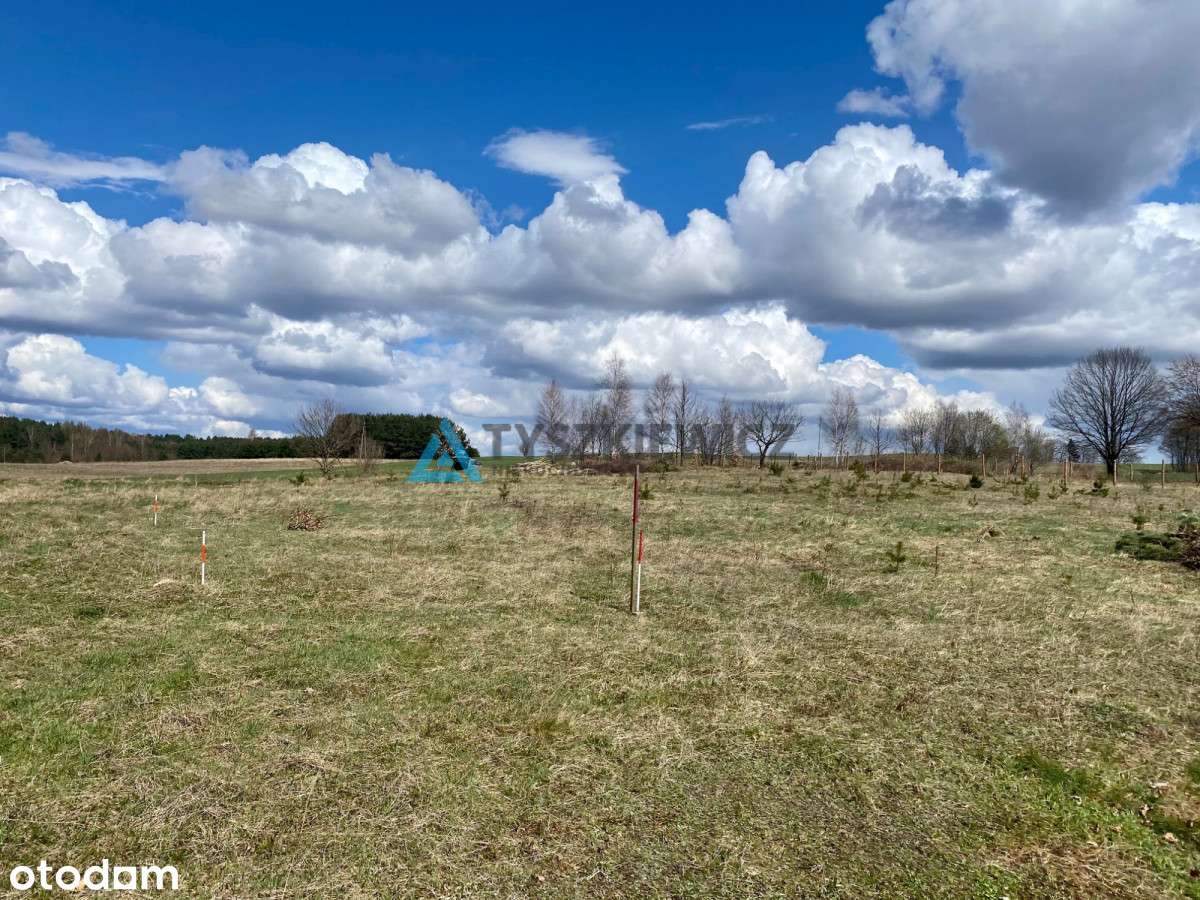 Działka Budowlana W Nowej Wsi/Gm. Stężyca - Pełny obrazek: 5/14