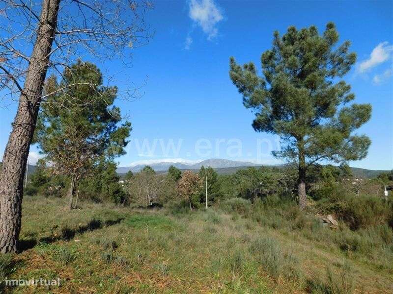 Terreno para Construção / Fundão, Pesinho - Grande imagem: 1/4
