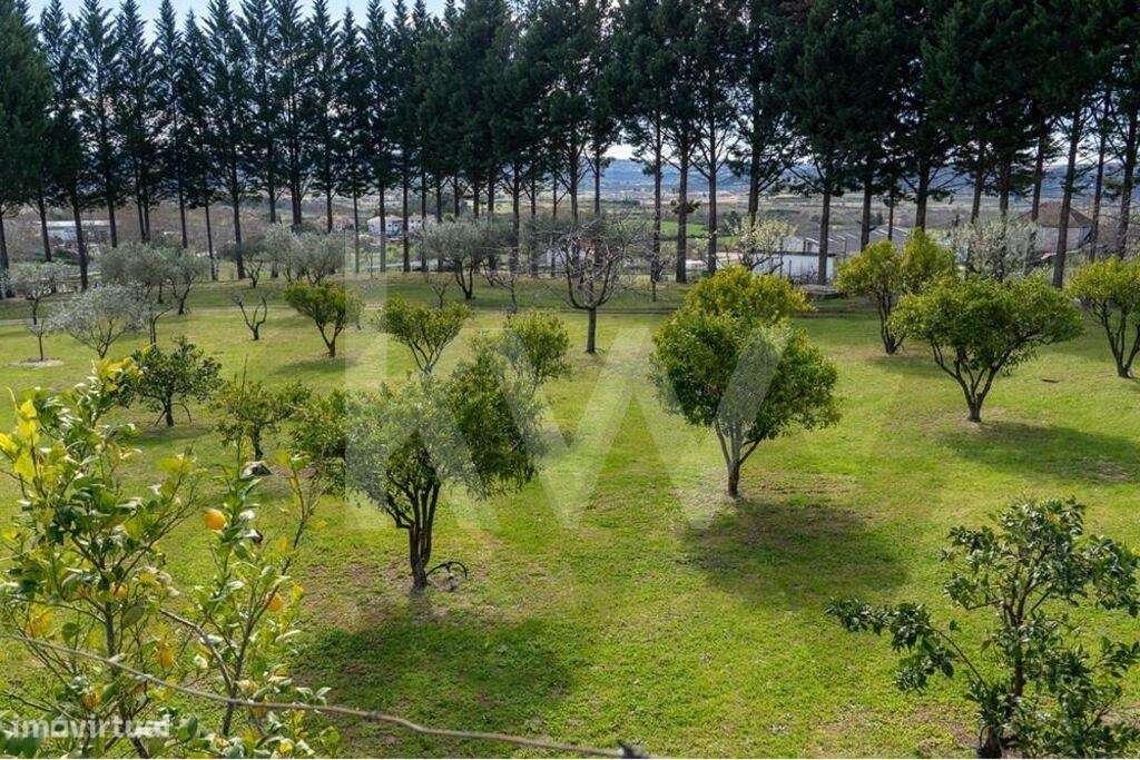 Fantástica Quinta com casa encantadora em Belmonte-11