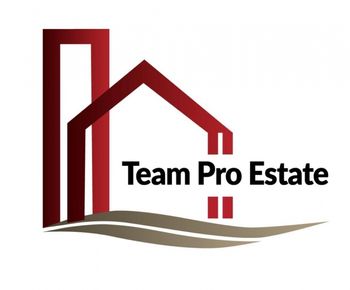 Team Pro Estate Siglă