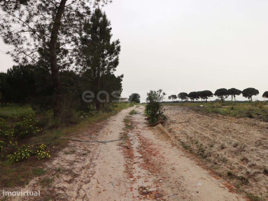 Terreno Rústico com viabilidade de Construção - Grande imagem: 4/8