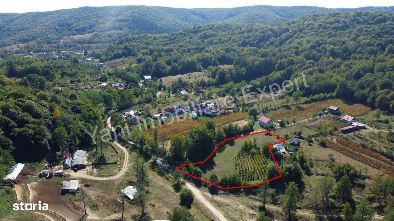 Teren de vânzare în comuna Băiculești, sat Tutana, județ Argeș. - Imagine principală: 4/10