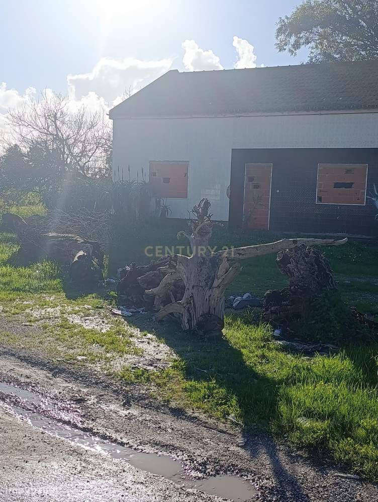 Quinta p/ Reabilitação c/ 14.000m2 3 licenças urbanas e 1 Rustica - Grande imagem: 3/18