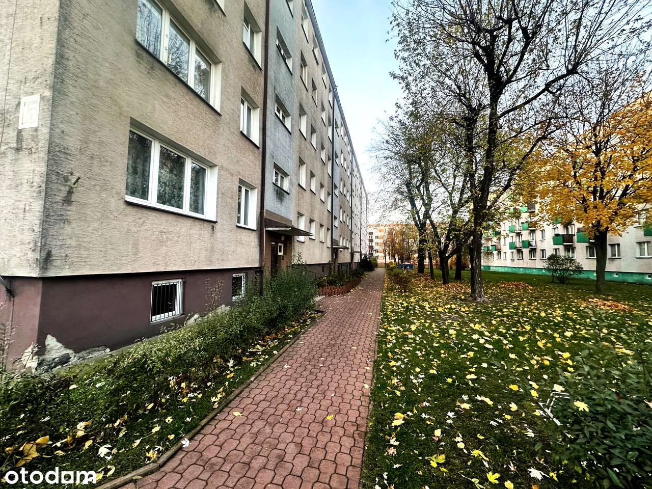 Mieszkanie z potencjałem | 38 m² | Grodzisk Mazowiecki | parter-0
