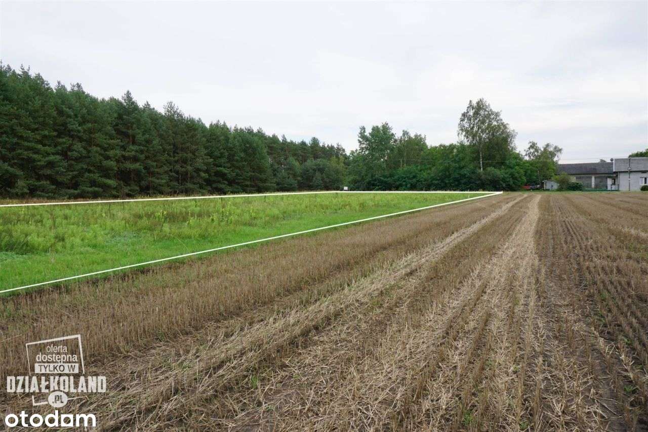 Dz. budowlana 4060 m², Skęczno (Kol. Piła), Zadzim-9