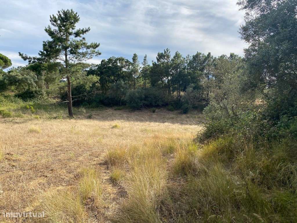 Terreno Exclusivo a 5 km da Aldeia do Meco, Sesimbra. - Grande imagem: 5/9