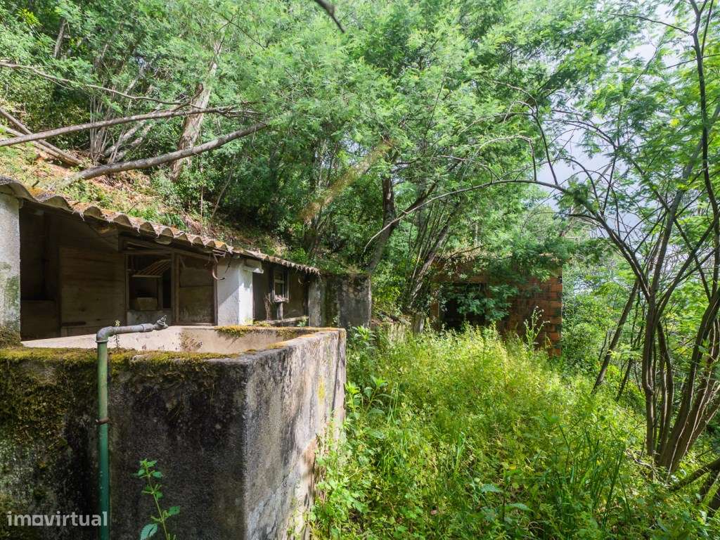 Quinta de 1 ha com moradia de 260 m2-35