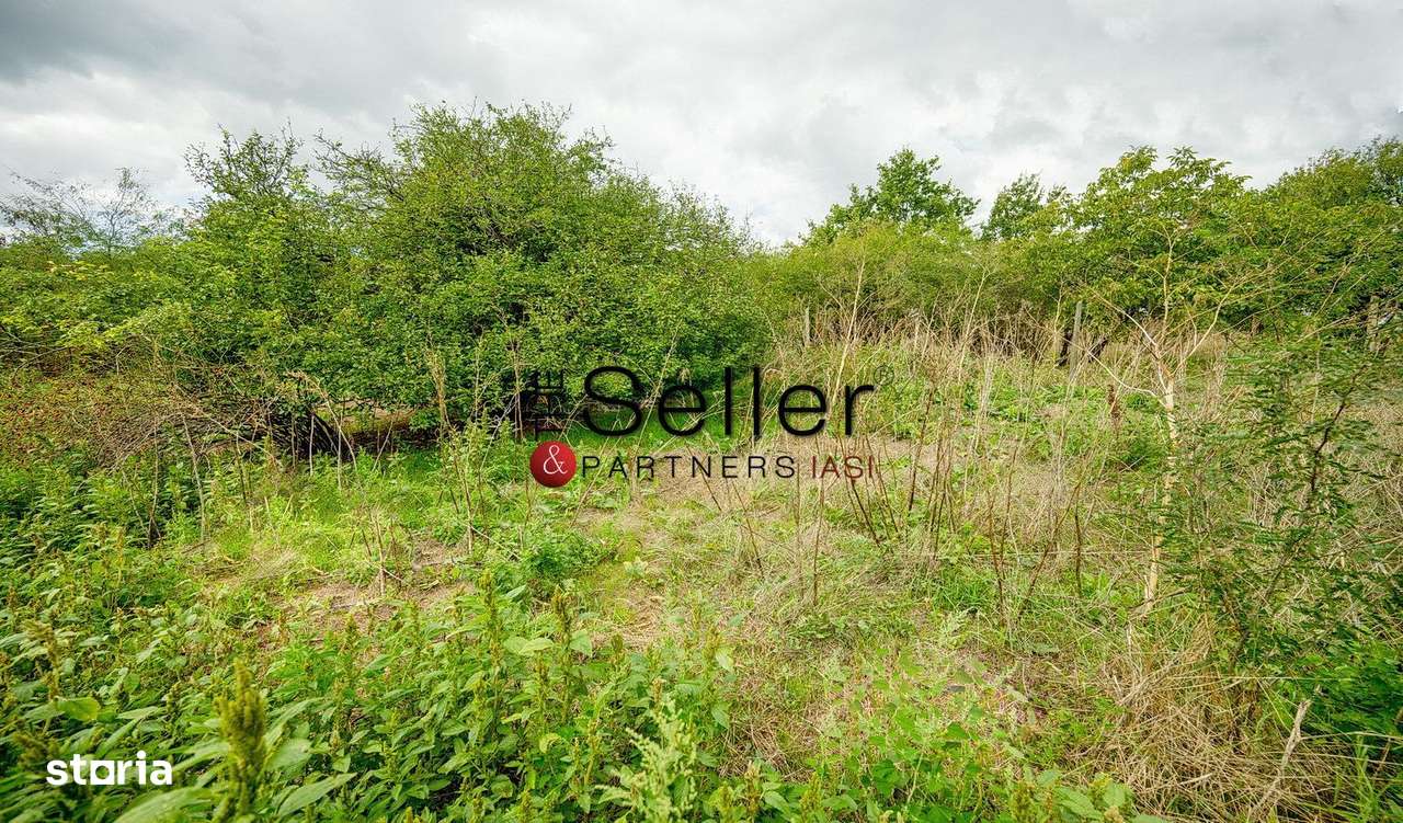Teren 2.557 mp plan, langa pădurea Galata-2