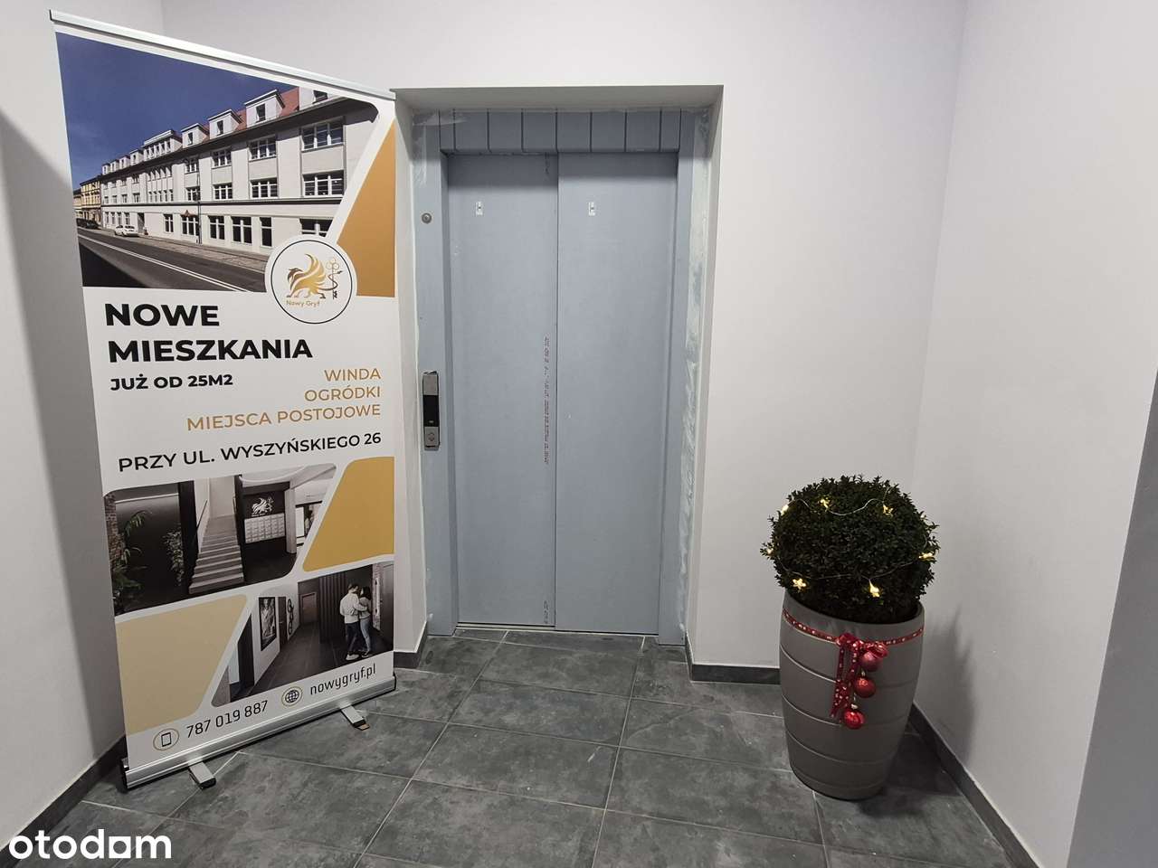 Nowy Gryf - Pełny obrazek: 4/6