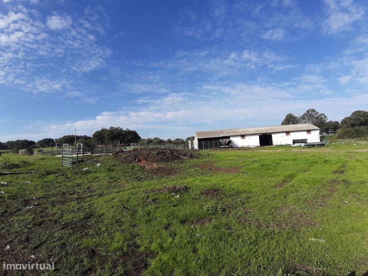 VENDA JUDICIAL I ARMAZÉM com terreno de 1.65 HECT-8