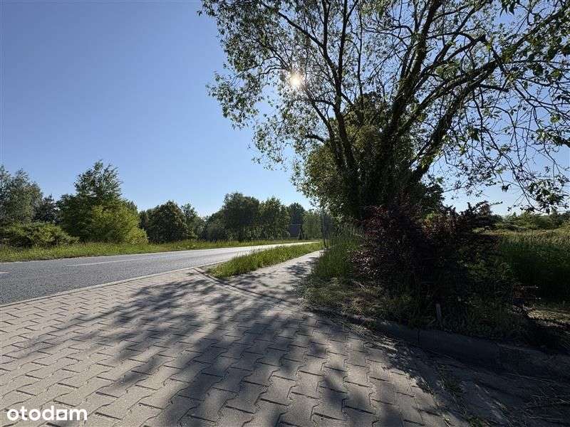 działka budowlana/1049m2/media:prąd,woda/droga/las - Pełny obrazek: 5/5