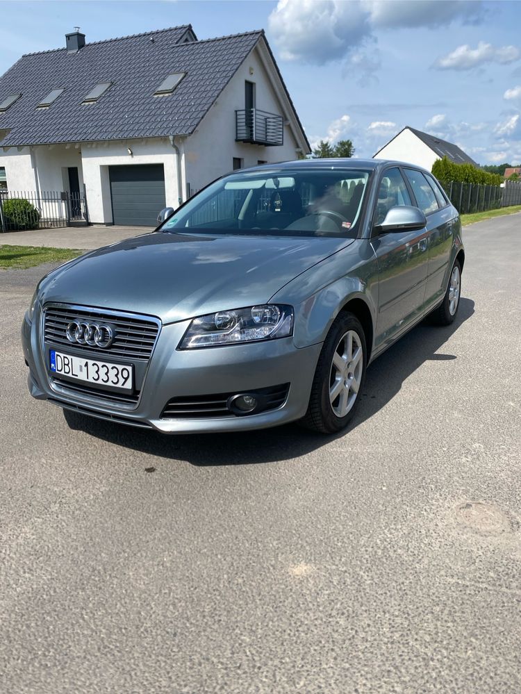 Audi A3 8P 1.6 Ambition 2009