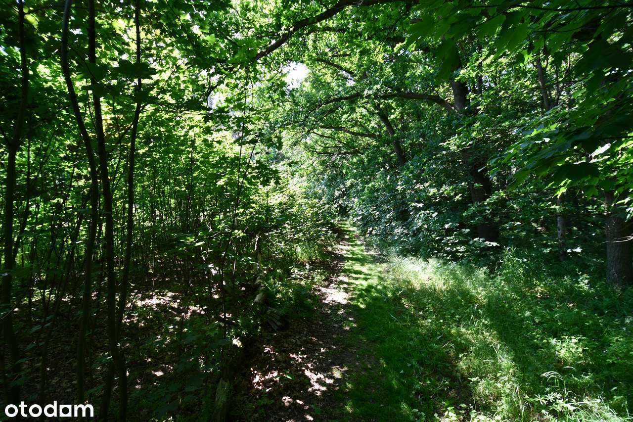 Działka z M.P.Z.P. nad jeziorem :: 197/3.8 - 1197m-18