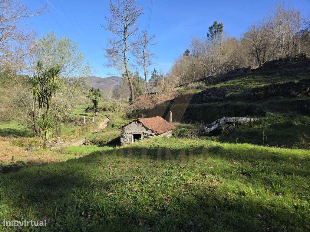 Casa rústica T0 e Terreno com Moinho | Sá - Arcos de Valdevez-10