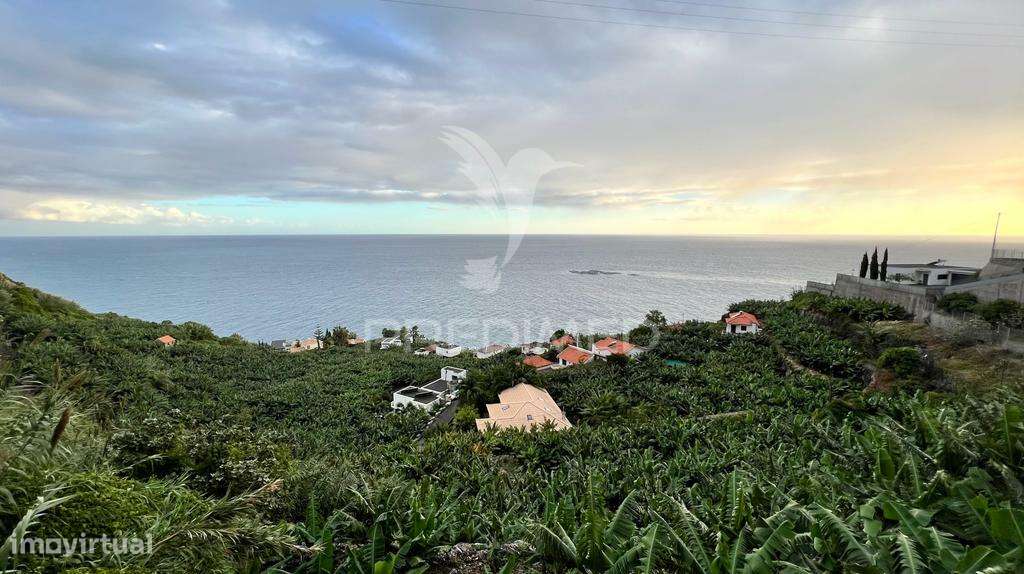 Terreno para Investimento na Calheta - Ilha da Madeira - Grande imagem: 5/10