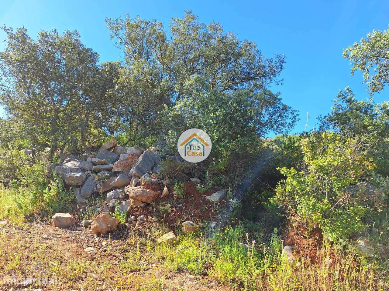 Terreno Rústico com Vista para a Vila de São Brás de Alportel - Grande imagem: 4/20