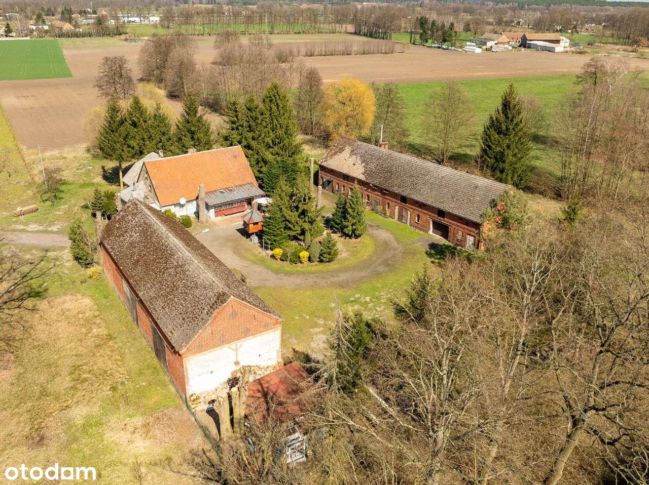 Piękne siedlisko z potencjałem k. Nowego Tomyśl - Pełny obrazek: 4/19