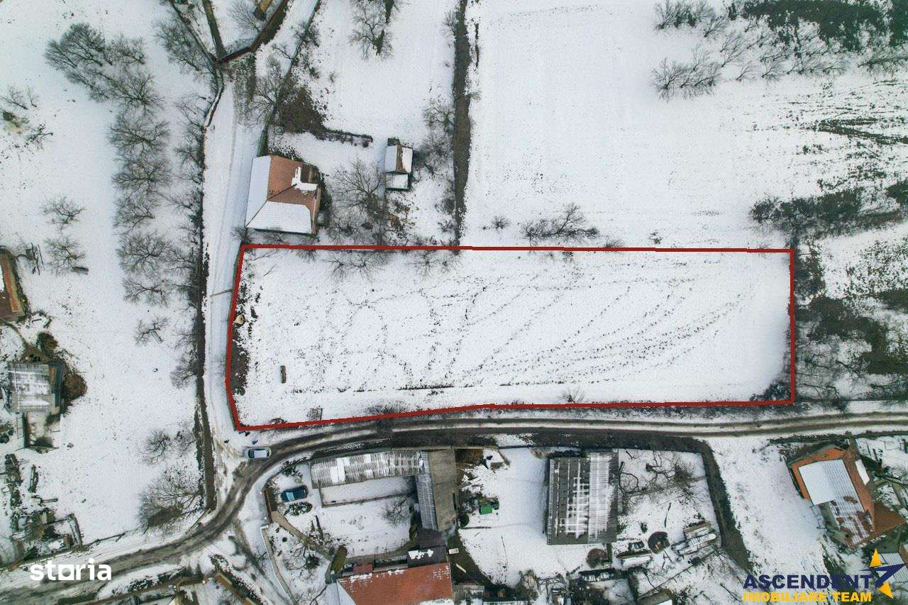 Film! 2.700 mp:refugiu al linistii si oportunitatii imobiliare,Cernat, - Imagine principală: 4/11