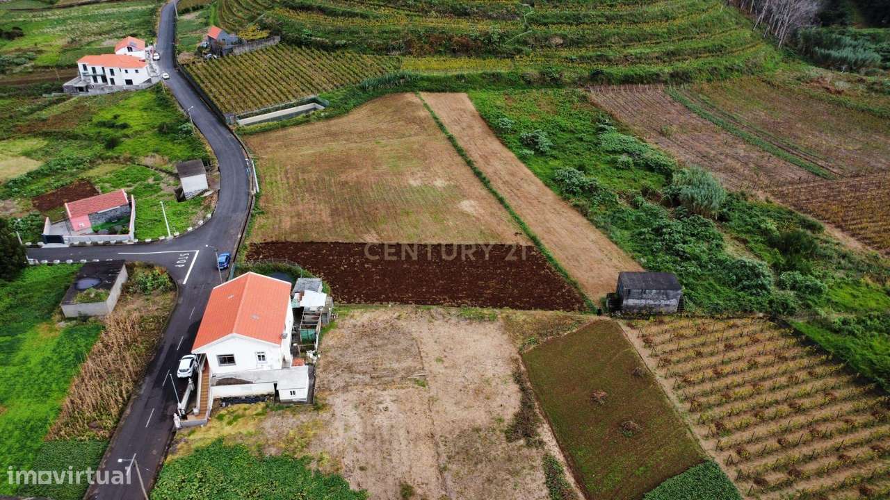 Terreno em Lamaceiros – Pomar, Porto Moniz - Grande imagem: 5/6