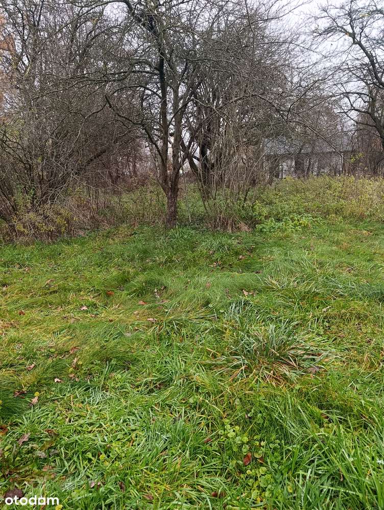 działka zabudowana - Pełny obrazek: 5/5