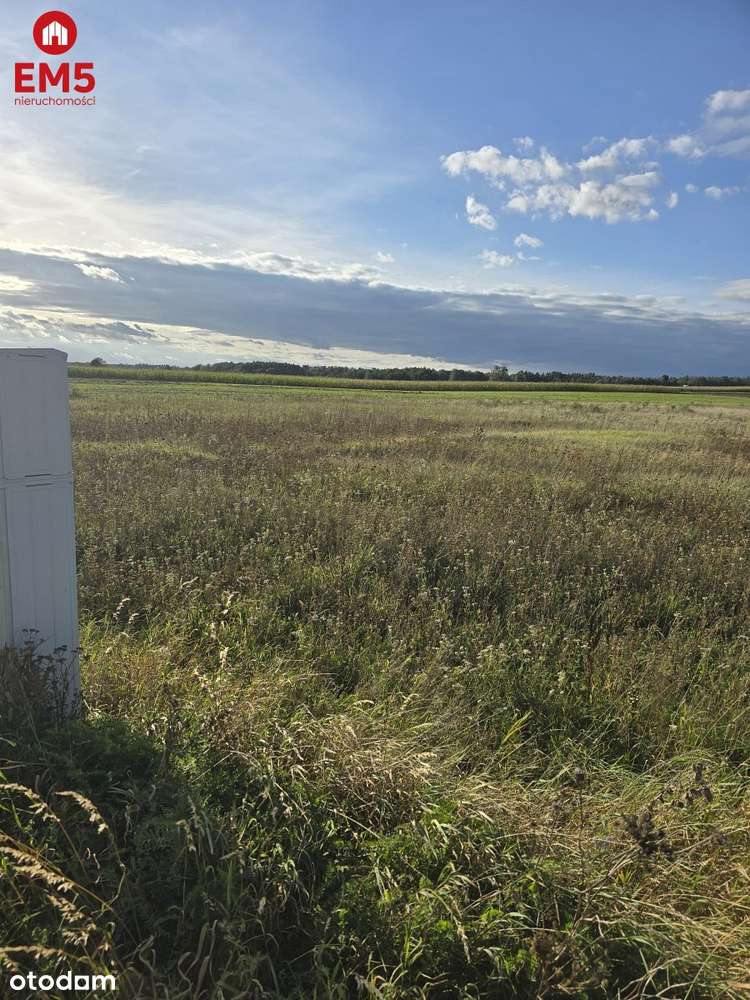 Działak budowlana blisko Narwi.-1