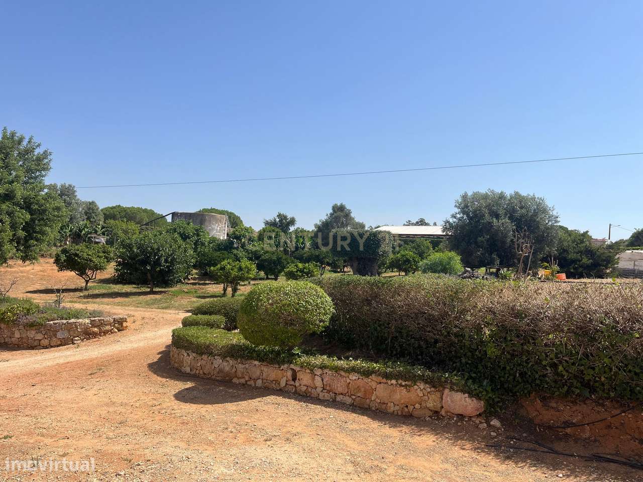 Quinta com 208.790m2, em  Plena produção de Citrinos, e estufas, com e - Grande imagem: 4/22