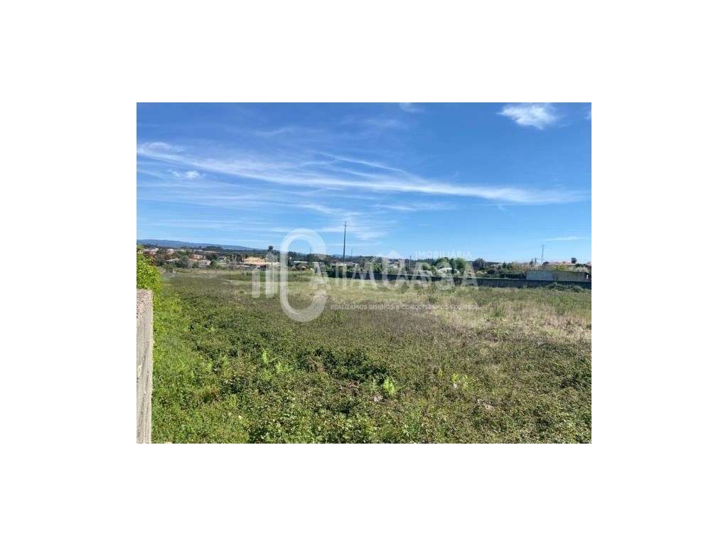 Terrenos para venda a poucos minutos do centro de Águeda-1