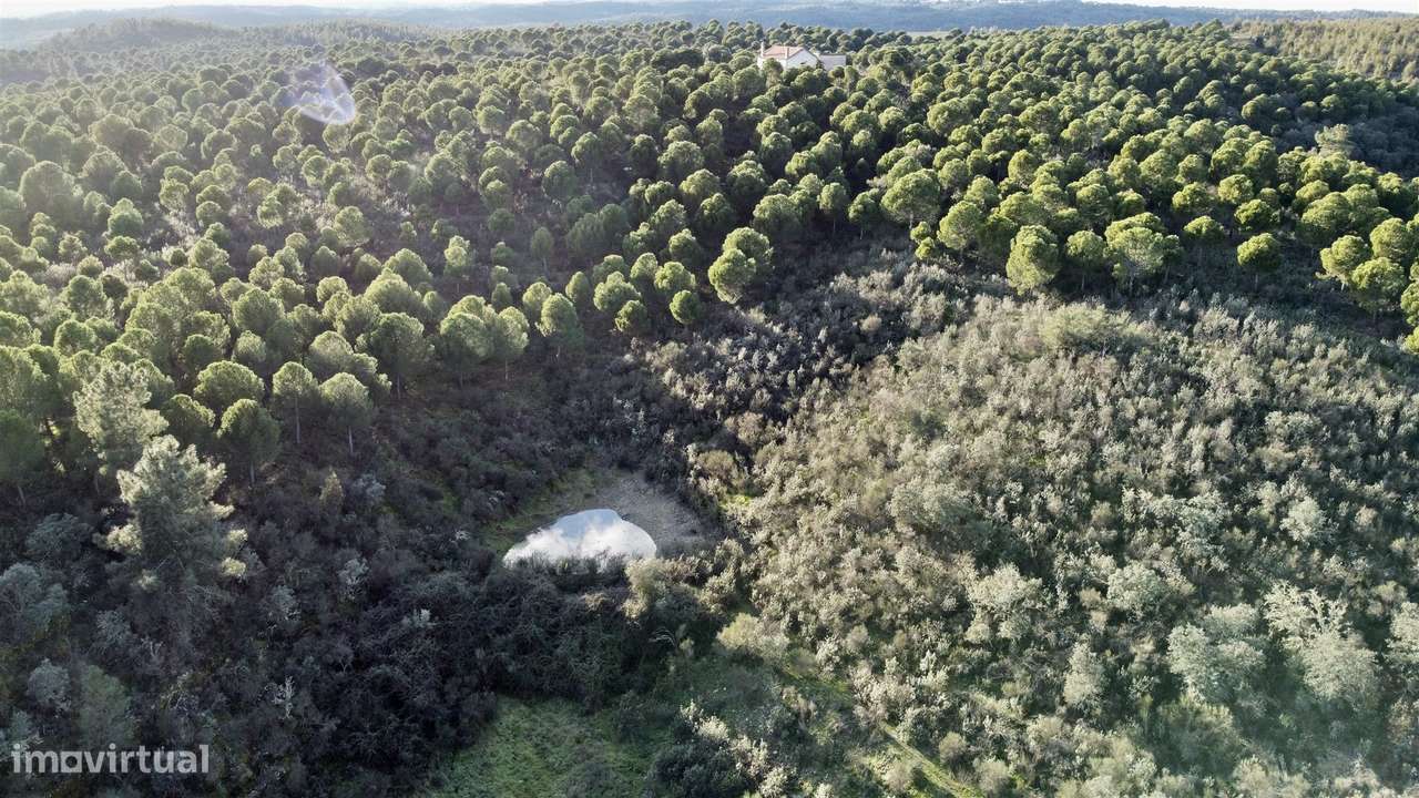 Herdade T5 Venda em Escalos de Baixo e Mata,Castelo Branco-5