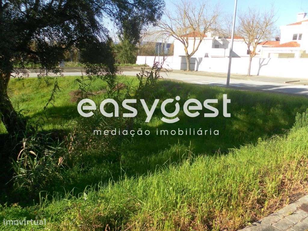 Lote de Terreno Urbano 253m2 para Moradia - Entroncamento - Grande imagem: 4/9