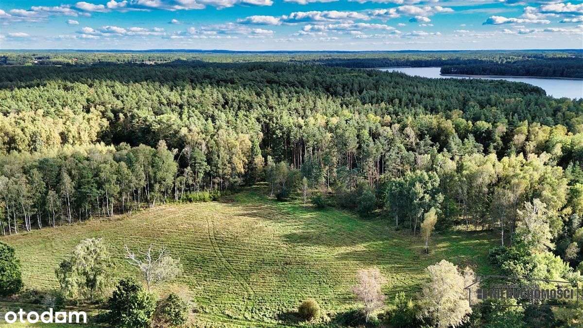 Pod Lasem Ok. 300 M Od Jeziora Pile - Dąbrowica --7