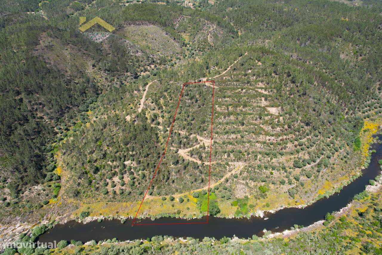 Terreno Rústico  Venda em Sarzedas,Castelo Branco - Grande imagem: 1/14