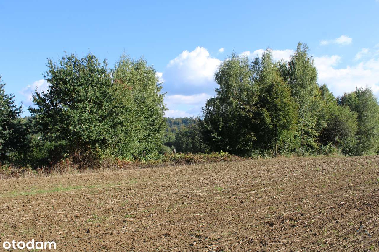 Klęczana - cztery działki budowlane o łącznej powierzchni 4824 m².-8