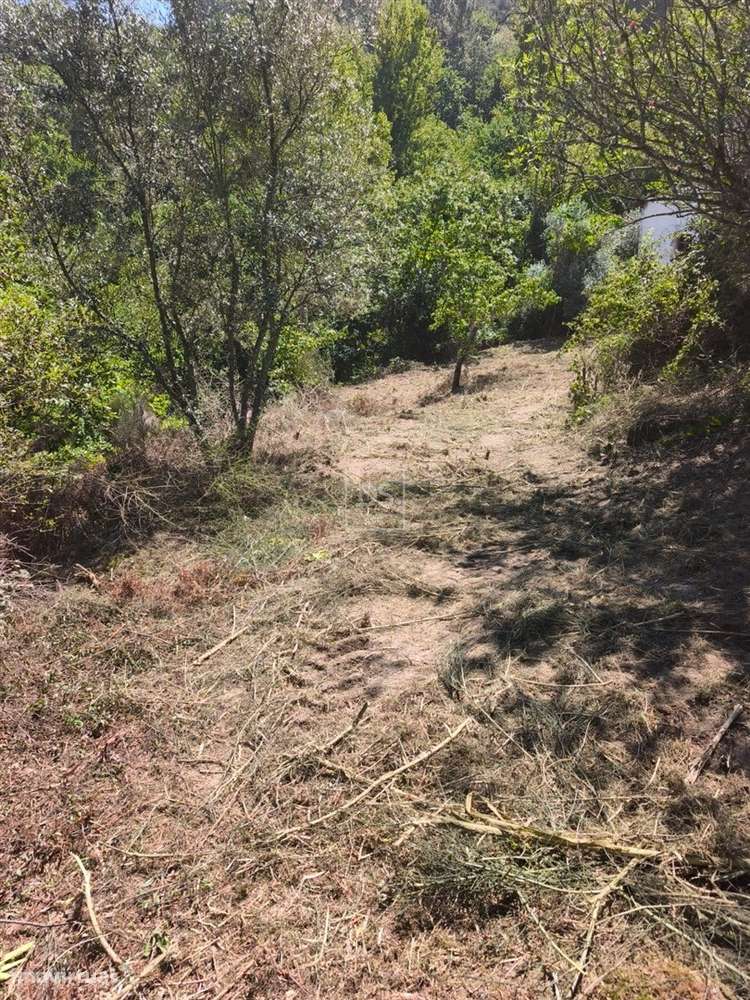 Quinta T2 Venda em Soalhães,Marco de Canaveses-18