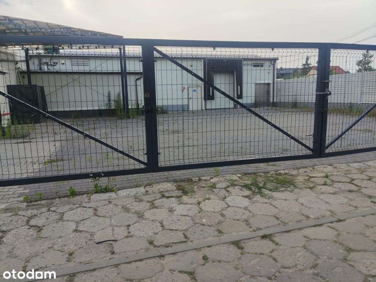 Hala sprzedaż Warszawa Targówek magazyn, chłodnia-19