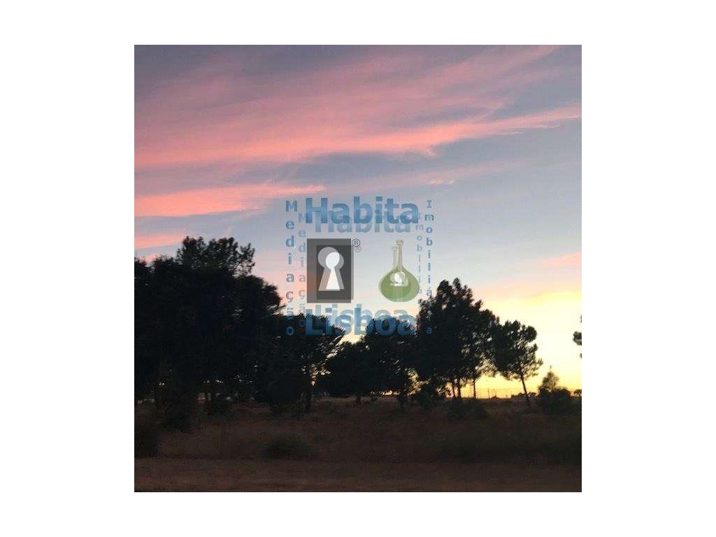 Terreno Misto 14 Ha. Montijo Alcochete - Grande imagem: 4/16