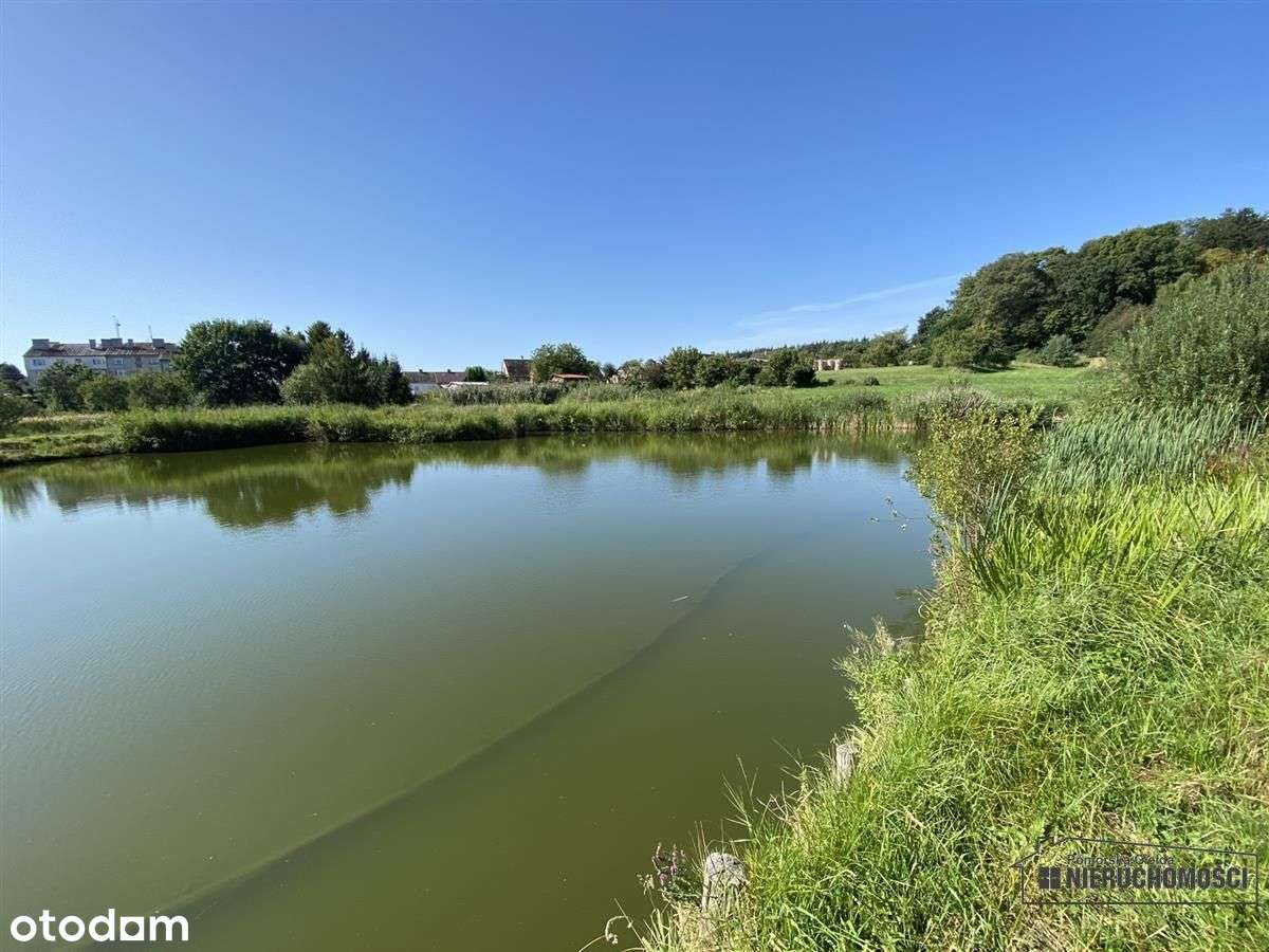 Duża działka ze stawami, Kołacz gm. Połczyn-Zdrój - Pełny obrazek: 4/16