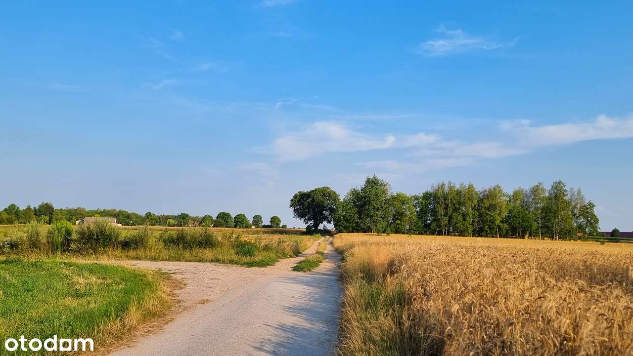 Na sprzedaż działki budowalne z WZ Andrespol Bedoń Brzeziny Koluszki-10