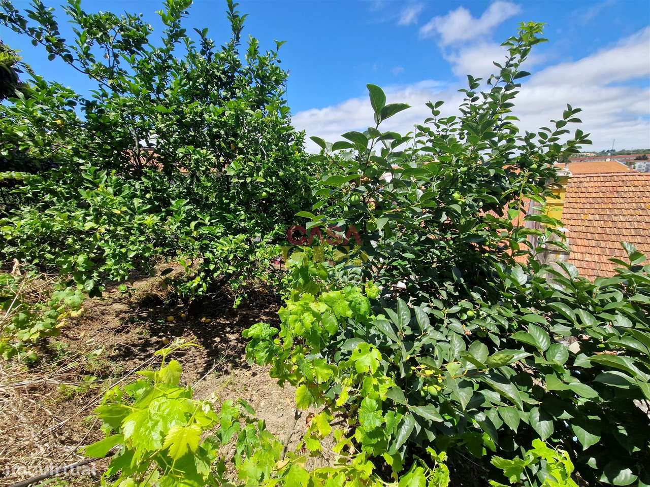 Moradia T2 Venda em Torres Novas (Santa Maria, Salvador e Santiago),To-28
