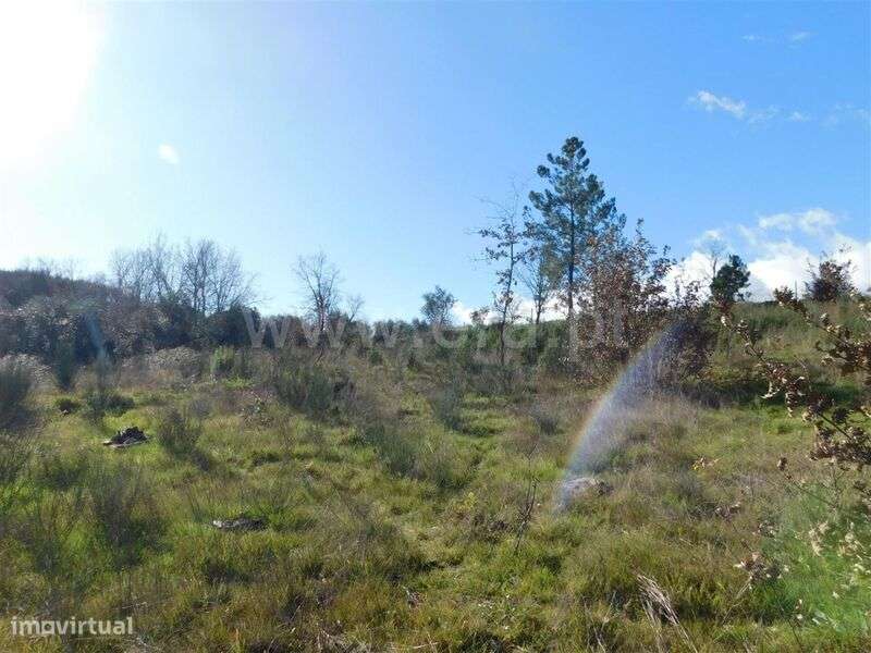 Terreno para Construção / Fundão, Pesinho - Grande imagem: 4/4