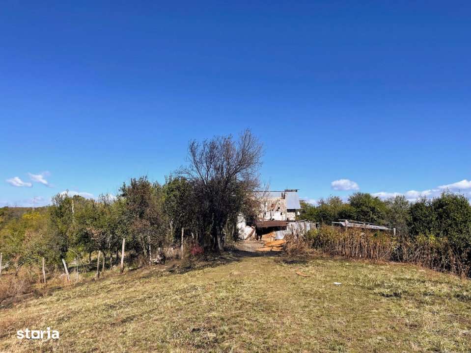 Teren Babana - Imagine principală: 4/8