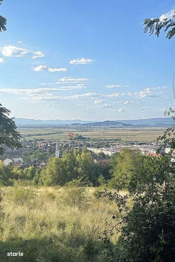 Teren zona Livezii - Imagine principală: 2/9