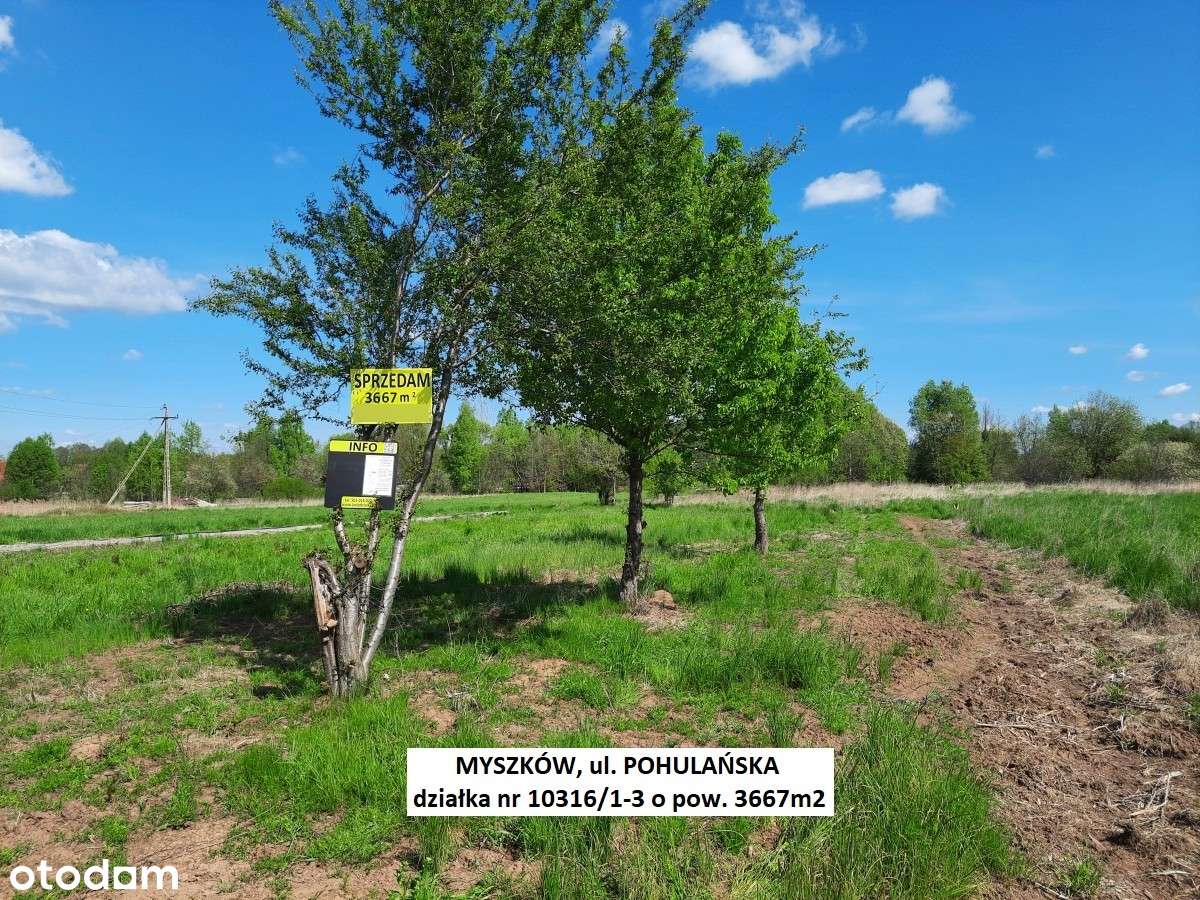 Sale - 10% Myszków działka rolno-budowlana  3667m2 tylko 174.900zł-16