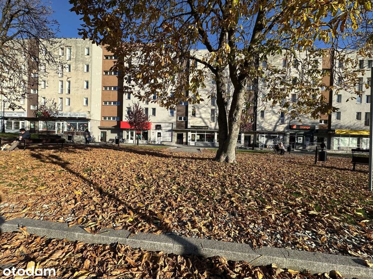 Mieszkanie w Rynku–3 pokoje do własnej aranżacji!-13