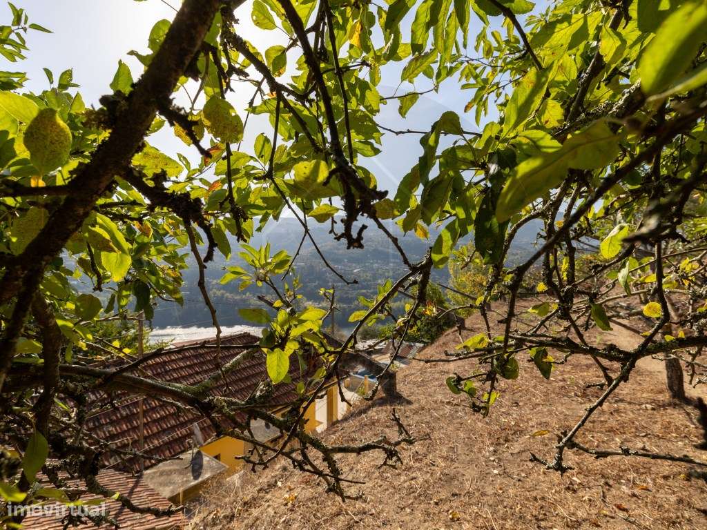 Propriedade com Vista Panorâmica para o Douro Moradia e Terreno com...-40